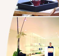 Lyall Hotel and Spa - Tourism TAS