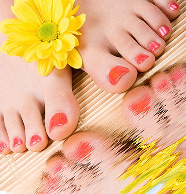 Heavenly Oasis Hair & Beauty Day Spa - Hobart Tourism 2