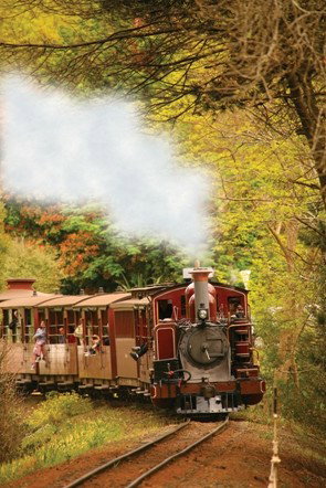 Puffing Billy - Tourism TAS 5