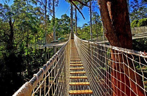 FreemanX Experience - Tourism TAS 2