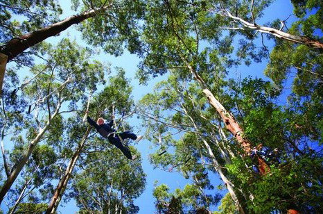 FreemanX Experience - Tourism TAS 5