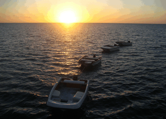 Carlo Fishing Charters - Hobart Tourism 2