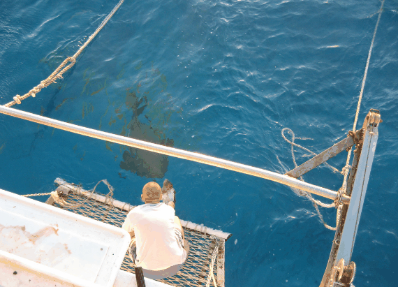 Carlo Fishing Charters - Hobart Tourism 4