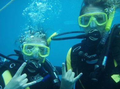 Snorkel Safari Brisbane - Hobart Tourism 5