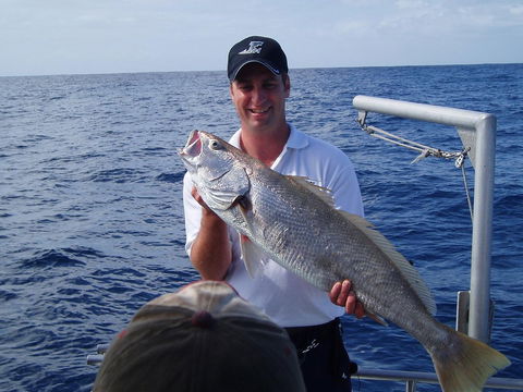 Blue Juice Charters - Tourism TAS 1