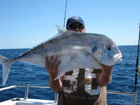 Blue Juice Charters - Tourism TAS 4
