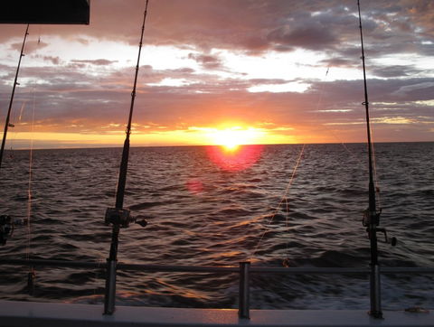 Blue Juice Charters - Tourism TAS 5