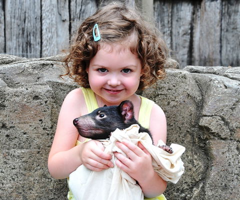 Australian Reptile Park - Tourism TAS 8