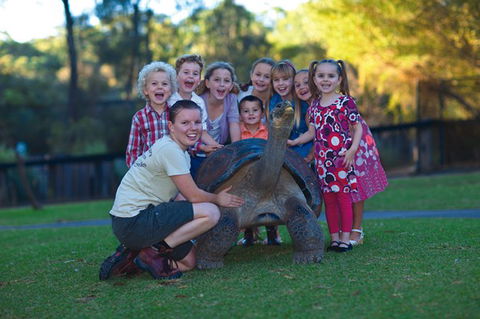 Australian Reptile Park - Tourism TAS 11