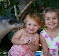 Dolphin Marine Magic - Hobart Tourism