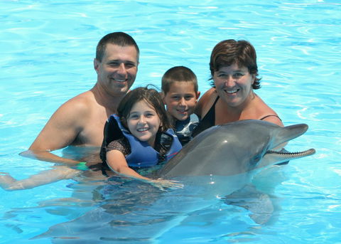Dolphin Marine Magic - Hobart Tourism 2