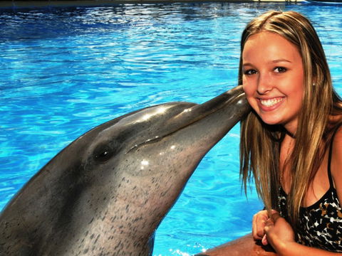 Dolphin Marine Magic - Hobart Tourism 3