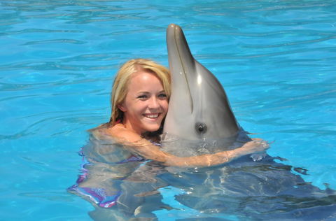 Dolphin Marine Magic - Hobart Tourism 5