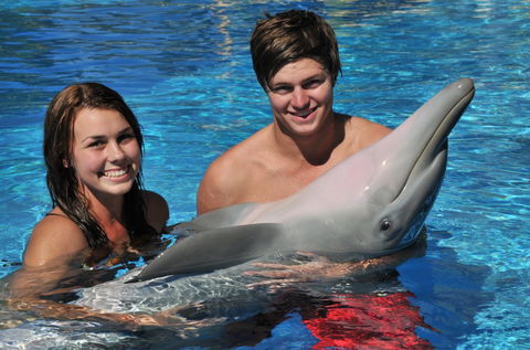 Dolphin Marine Magic - Hobart Tourism 8