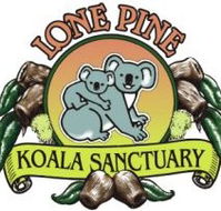 Lone Pine Koala Sanctuary - Hobart Tourism