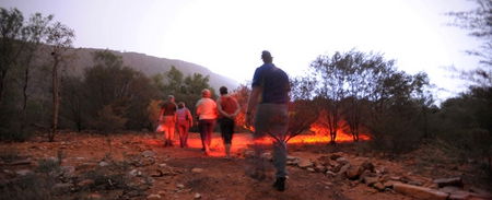 Alice Springs Desert Park - Tourism TAS 4