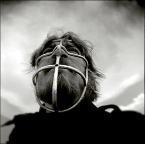 Australian Centre For Photography - Hobart Tourism 3