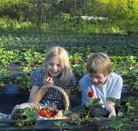 Blue Hills Berries  Cherries - Tourism TAS