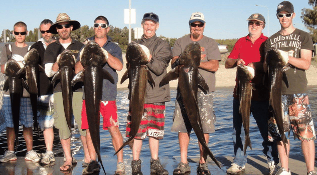BKs Gold Coast Fishing Charters - Tourism TAS 1