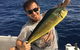 BKs Gold Coast Fishing Charters - thumb 4