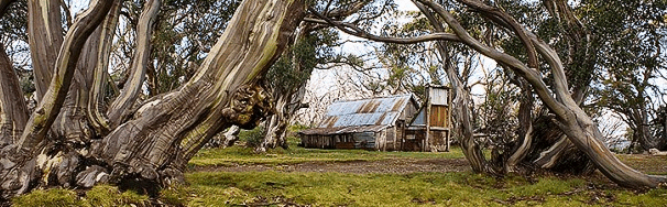 High Country Scenic Tours - Tourism TAS