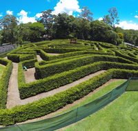 Bellingham Maze - Tourism TAS