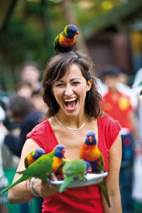 Currumbin Wildlife Sanctuary - Hobart Tourism 10