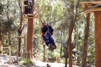 Currumbin Wildlife Sanctuary - Hobart Tourism 11