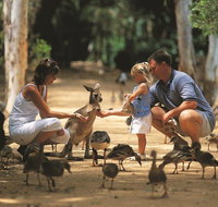 Billabong Sanctuary - Tourism TAS