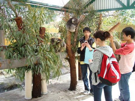 Caversham Wildlife Park - Tourism TAS 4