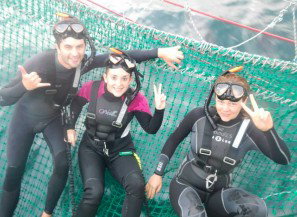 Dolphin Swim Australia - Tourism TAS 7