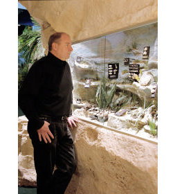 The National Opal Collection - Hobart Tourism 5