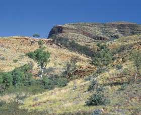 Mount Newman - Tourism TAS 0