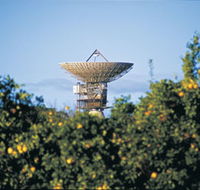 Big Dish - Tourism TAS