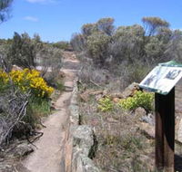Christmas Rock Walk - Tourism TAS
