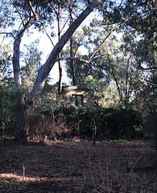 Ghost House Walk Trail, Yanchep National Park - Hobart Tourism 0