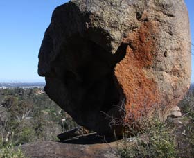 Eagle's View Walk, John Forrest National Park - Tourism TAS 0