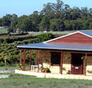 Vineyard 28 - Tourism TAS