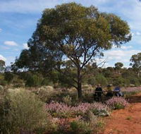 Karlkurla Bushland Park - Tourism TAS