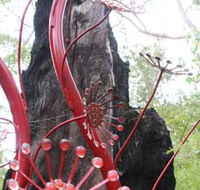 Understory Art In Nature - Tourism TAS