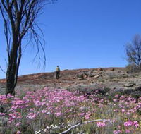 Talgomine Reserve - Tourism TAS