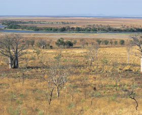 Marglu Billabong - Tourism TAS 0