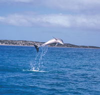 Steep Point - Tourism TAS