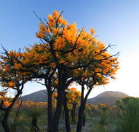 Cape Le Grand National Park - Tourism TAS