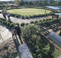 Kojonup Rose Maze - Tourism TAS