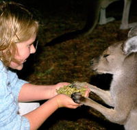 Discovery Bay's Walk on the Wild Side - Tourism TAS