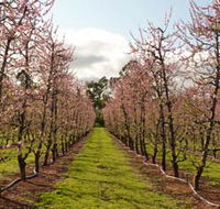 Raeburn Orchards - Tourism TAS