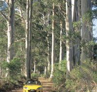 Mount Shadforth Scenic Drive - Tourism TAS