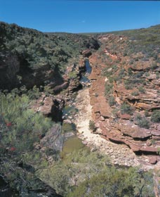 Ross Graham Lookout - Tourism TAS 0