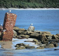 Whalers Beach - Tourism TAS